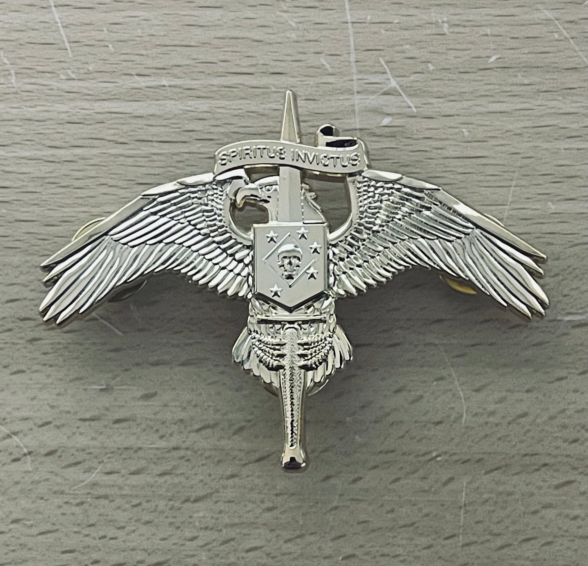 Marsof Badge MARSOC INSIGNIA BADGE (WITH SKULL) – Silent Tie Company